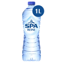 Spa Reine fles