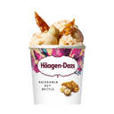 Häagen-Dazs Macadamia nut brittle ice cream