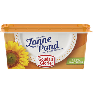 Gouda's Glorie Zonnepond
