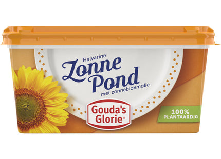 Gouda's Glorie Zonnepond