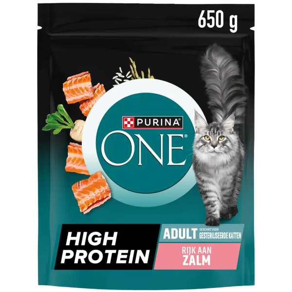 Purina ONE High Protein Salmon