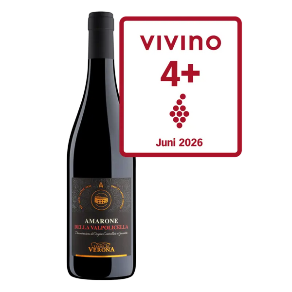 Terre di Verona Amarone