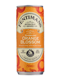 Fentimans Orangenblüten-Limonade mit Kohlensäure