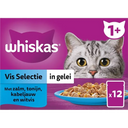 Whiskas 1+ Vis selectie in gelei