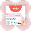 Bolsius Geurktheelicht maxi true scents magnolia