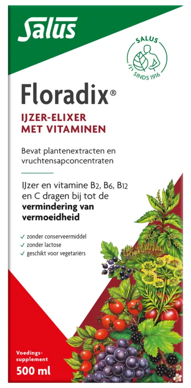 Floradix Liquid Iron Elixir with Vitamins