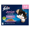 Felix Elke dag feest junior mix selectie gelei