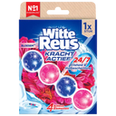 Witte Reus Kraft Aktiv Blüte
