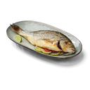 Visspecialist Hele dorade