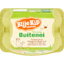 Happy Chicken eggs Free-range outdoor egg