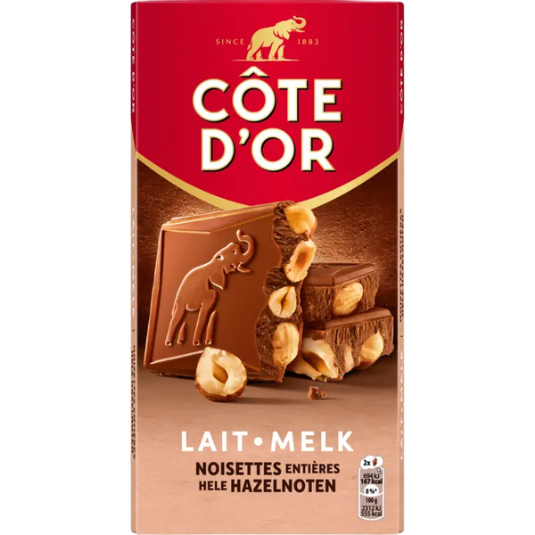 Côte d'Or Block chocolate bar milk whole hazelnuts