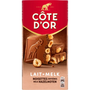 Côte d'Or Block chocolate bar milk whole hazelnuts