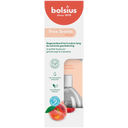 Bolsius Duftspender wahre Düfte gegen Tabakgeruch