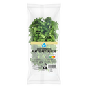 Flat parsley bulk pack