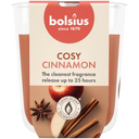 Bolsius True scents geurglasapple cinnamon 8cm