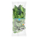 Mint bulk pack