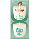 Bolsius Clean Light Cypress Amber Refill