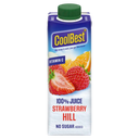 CoolBest Strawberry Hill