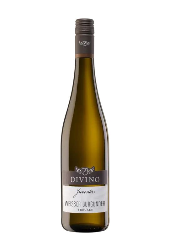 Divino Juventa Weißburgunder