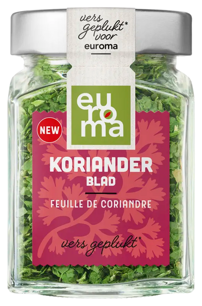Coriander herbs