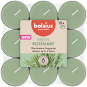 Bolsius Scented Tealights 4h True Scent Rosemary