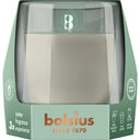 Bolsius Starterkit clean light cypress & amber