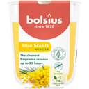 Bolsius True Scents Duftkerze Mimose 8cm
