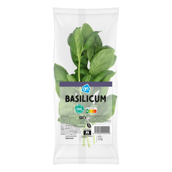 Basilicum
