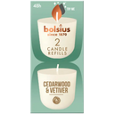 Bolsius Clean Light Cedarwood Refill