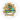 Zaanlander Kaasblokjes jong komijn 48+