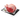 Vakslager Rib Roast