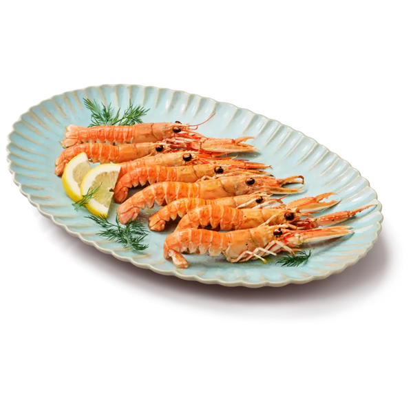 Visspecialist Langoustines