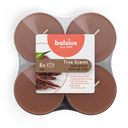 Bolsius Geurlichten maxi true scents old wood