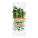 Koriander Großpackung