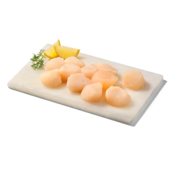 Excellent Coquilles