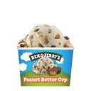 Ben & Jerry's B&J Peanut Butter Mini Cup