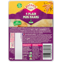 Patak's Mini naan plain