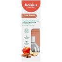 Bolsius Geurverspreider true scents appel kaneel
