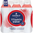 Sourcy Aardbei perzik 6-pack