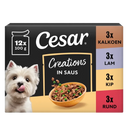 Cesar Creations in saus
